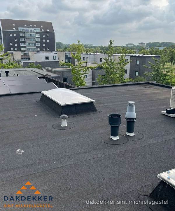 Groot plat dak met lichtkoepel en dakdoorvoeren in Sint Michielsgestel