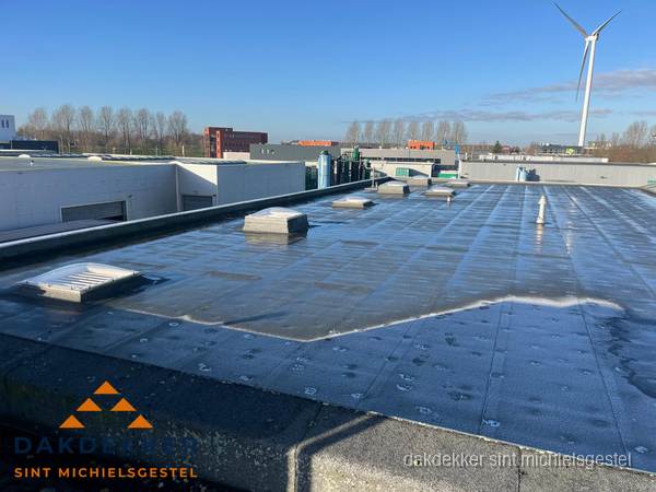 Plat dak bedrijfspand met bitumen dakbedekking en lichtkoepels in Sint Michielsgestel