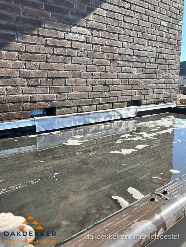 Stilstaand water op plat dak door slechte afwatering in Sint Michielsgestel