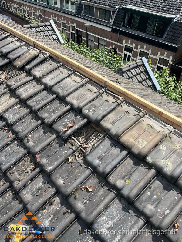 Dakonderhoud aan schuin pannendak met nokvernieuwing in Sint Michielsgestel