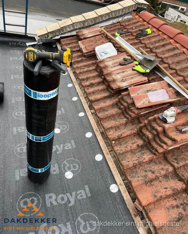 Dakschade herstel: pannendak renovatie in Sint Michielsgestel