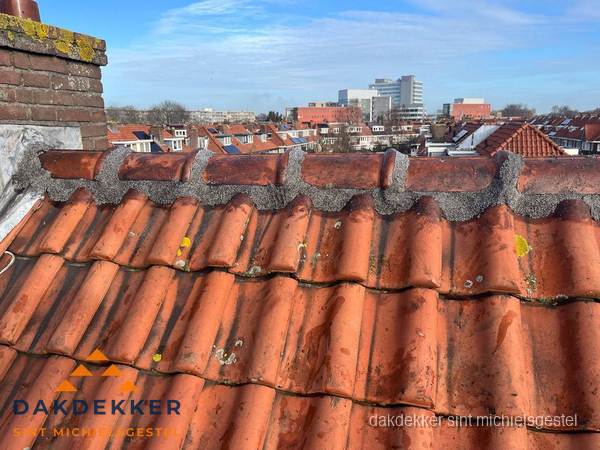 Pannendak met nokvorst en schoorsteen, dakrenovatie in Sint Michielsgestel