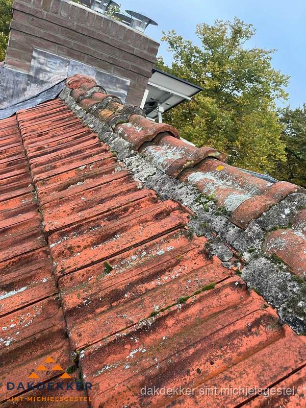 Verweerd hellend dak met mosgroei op nokvorst in Sint Michielsgestel